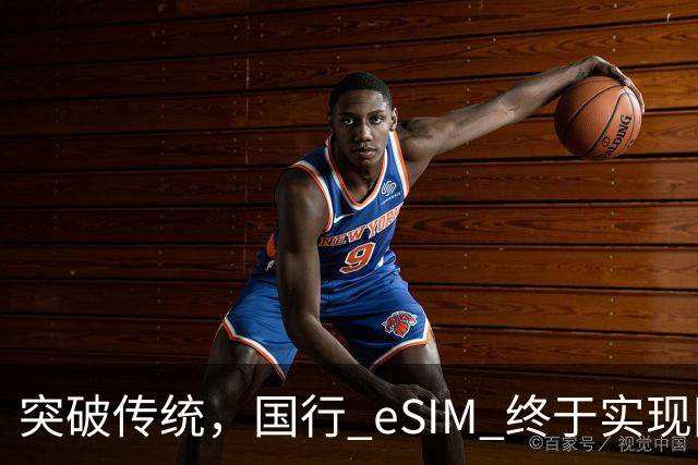 突破传统，国行 eSIM 终于实现网上申请！