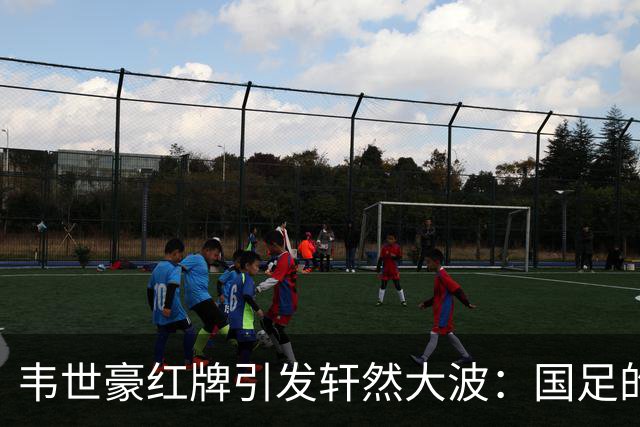 韦世豪红牌引发轩然大波：国足的未来何去何从？